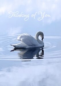 Serene swan with head bowed on rippled cloudy blue waters. Thinking of you card