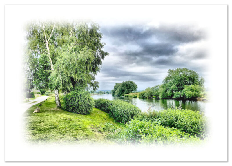 vignette of the Trent riverbank near Swarkestone Bridge, Derbyshire