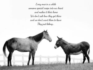 Horse and donkey greeting each other. Card has text.