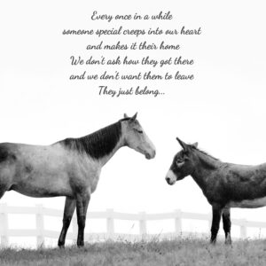 Horse and donkey greeting each other. Card has text.