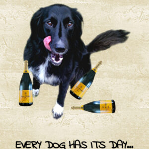 Self-satisfied dog licking lips, with champagne bottles at feet. Card has text
