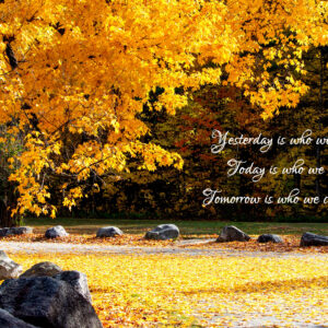 American Golden maple tree with verse
