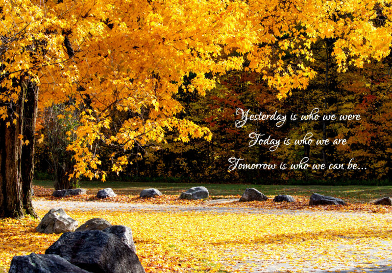 American Golden maple tree with verse