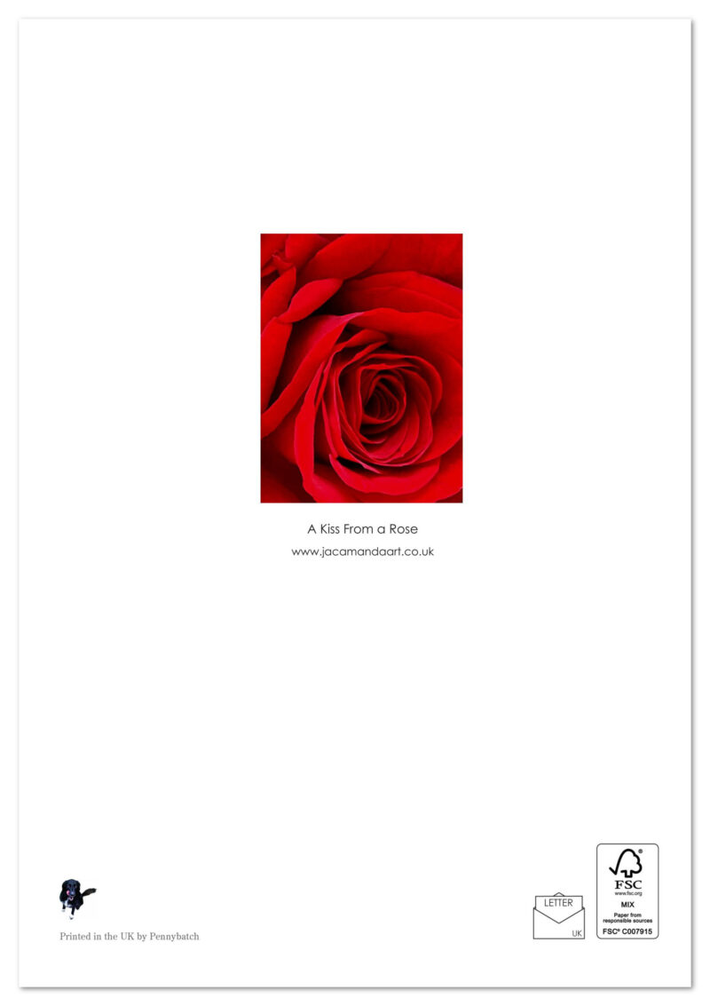 A Kiss From a Rose - Image 2
