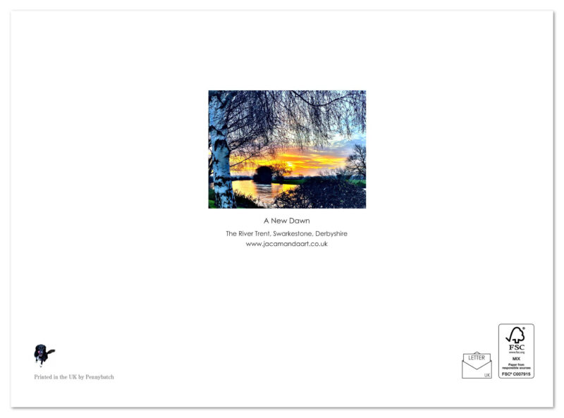 A New Dawn - Image 2