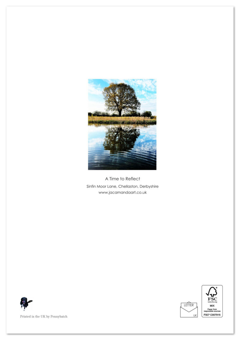 A Time to Reflect - Image 2