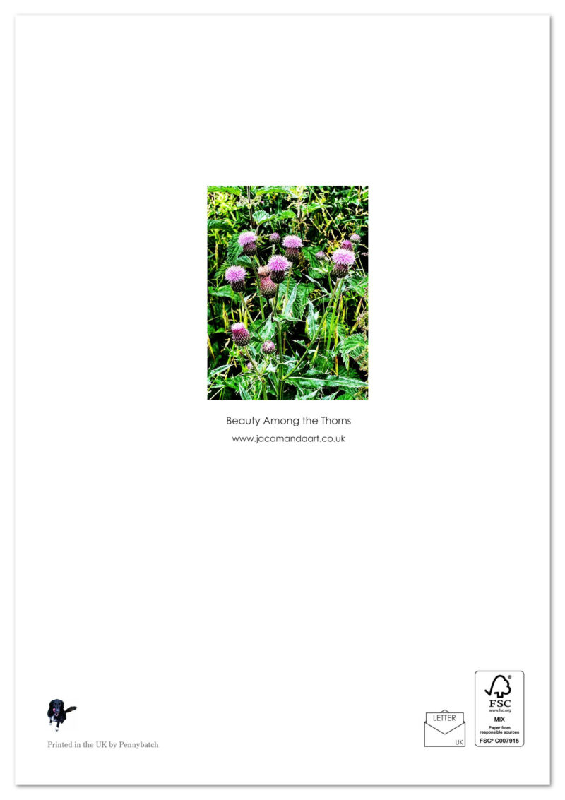 Beauty Among the Thorns - Image 2
