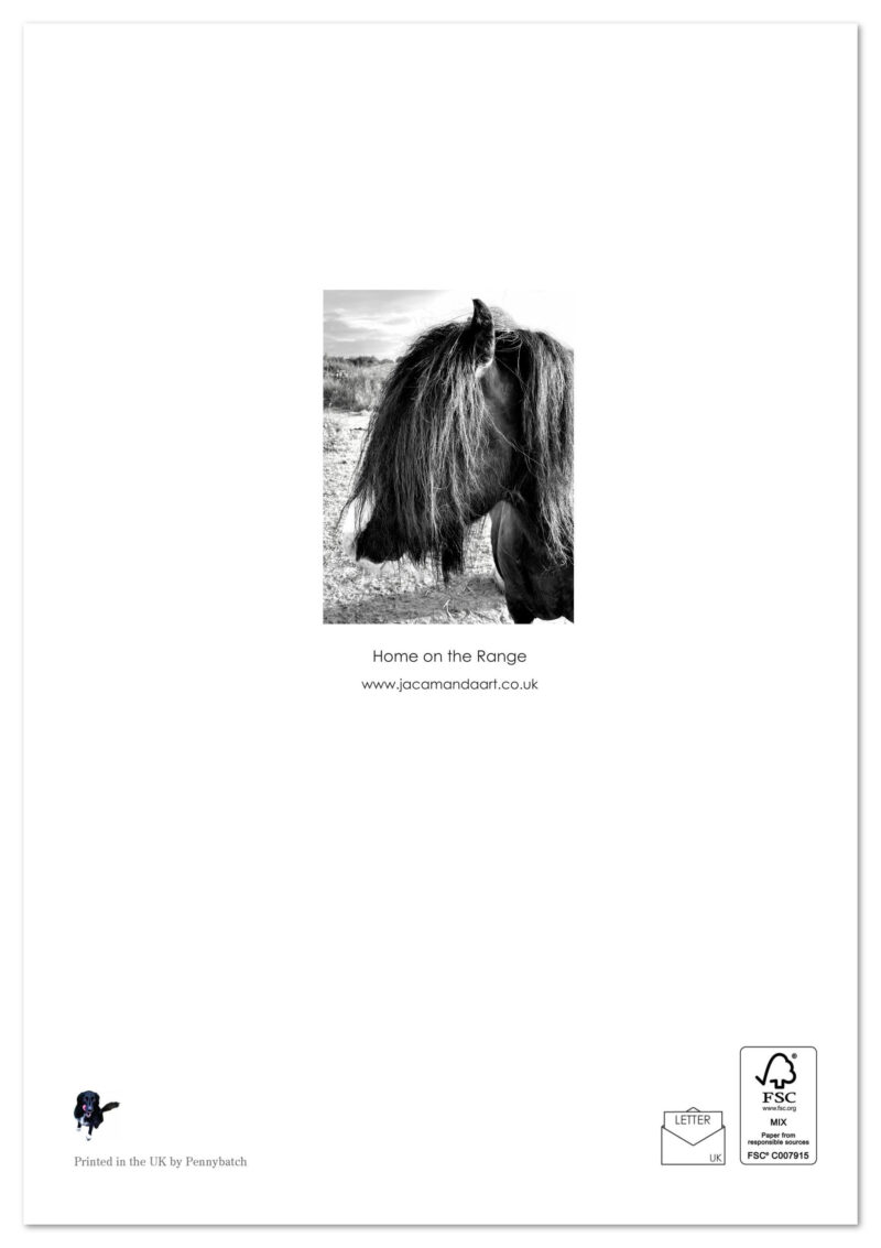 Home on the Range - Image 2