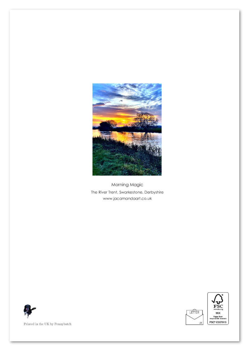 Morning Magic - Image 2