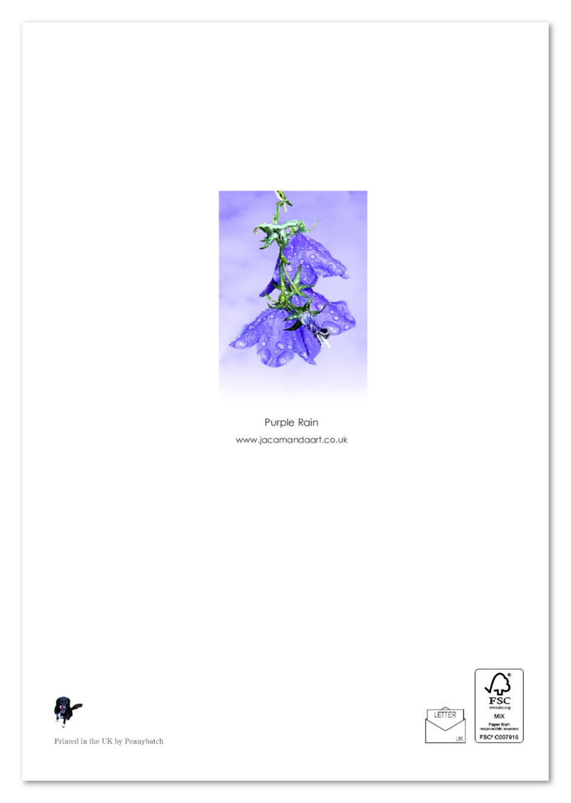 Purple Rain - Image 2