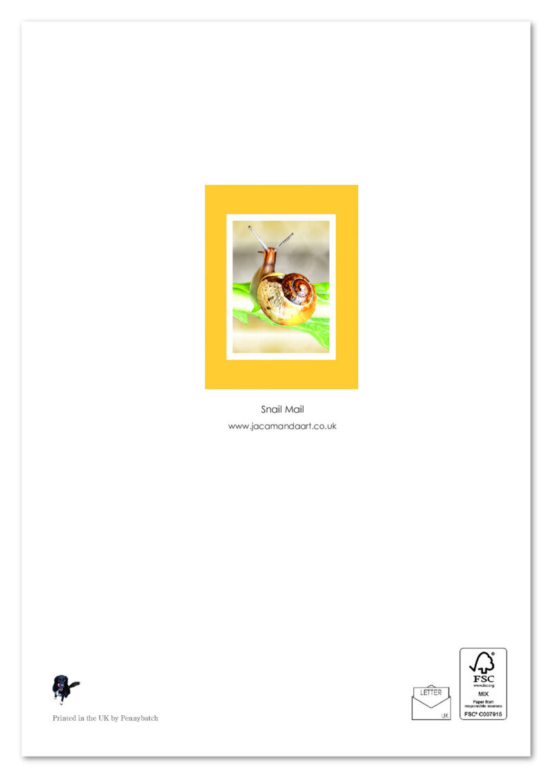 Snail Mail - Image 2