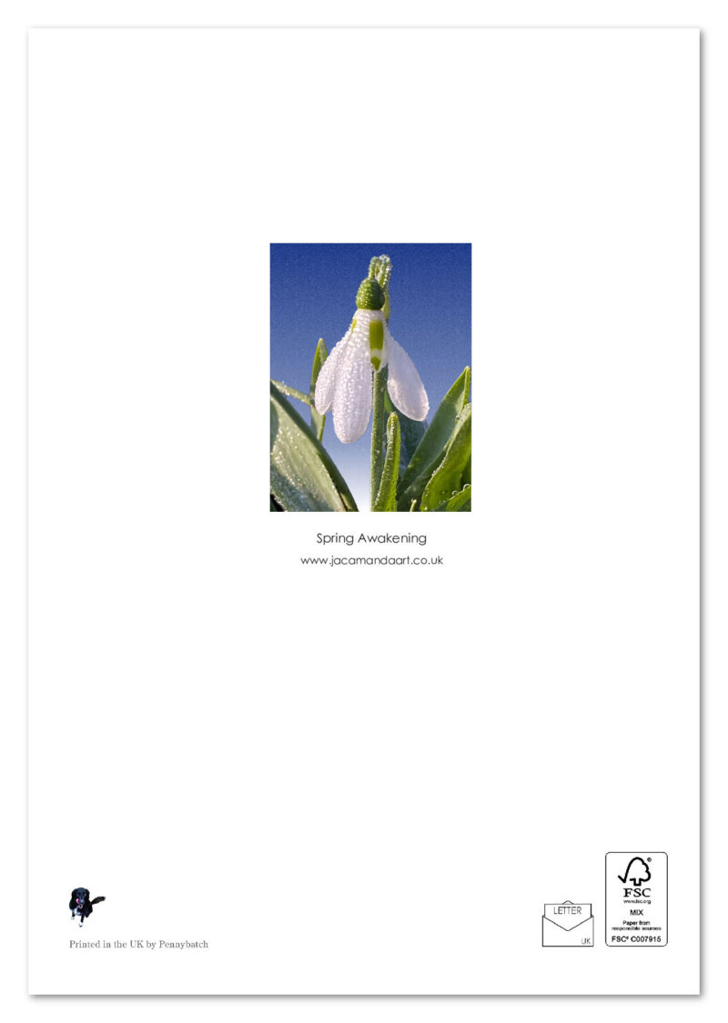 Spring Awakening - Image 2