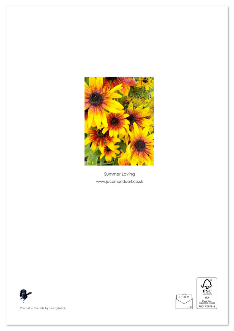 Summer Loving - Image 2