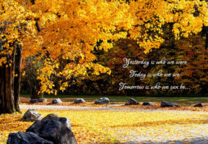 American Golden maple tree with verse