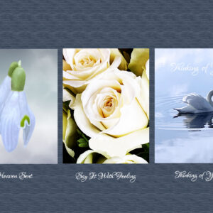 Three potential sympathy cards for £6. Includes snowdrops, Serene swan and white roses