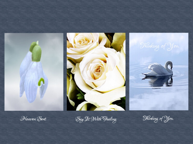 Three potential sympathy cards for £6. Includes snowdrops, Serene swan and white roses
