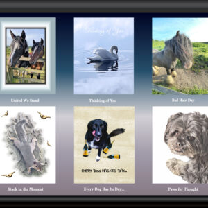 Six awesome animal cards for £12. Includes horses, swan, squirrel and dogs