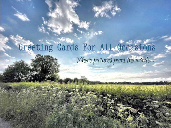 Field of Dreams Greeting card with Greeting cards for all occasions written across the middle