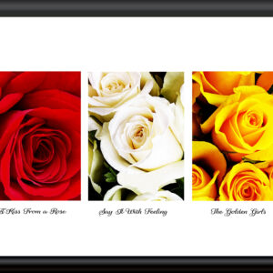 Z: The Rose Collection